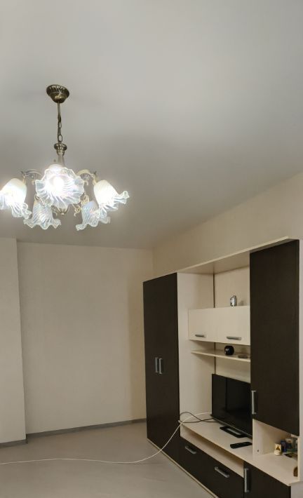 квартира г Воронеж р-н Коминтерновский ул Шишкова 72/1 фото 4