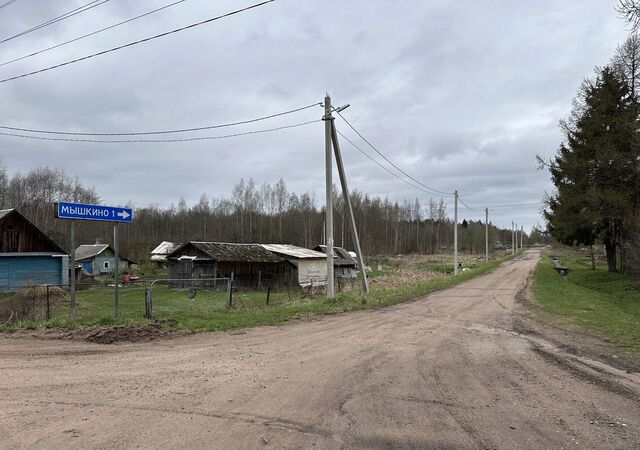 д Мышкино Нежновское сельское поселение, Сосновый Бор фото