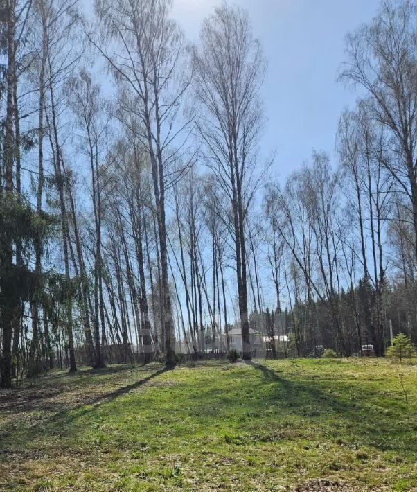 земля г Домодедово д Минаево КП Южный Парк 483 фото 4