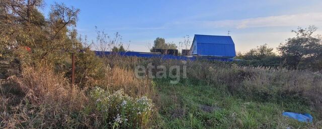 д Филипповское 9779 км, Чехов, Симферопольское шоссе фото