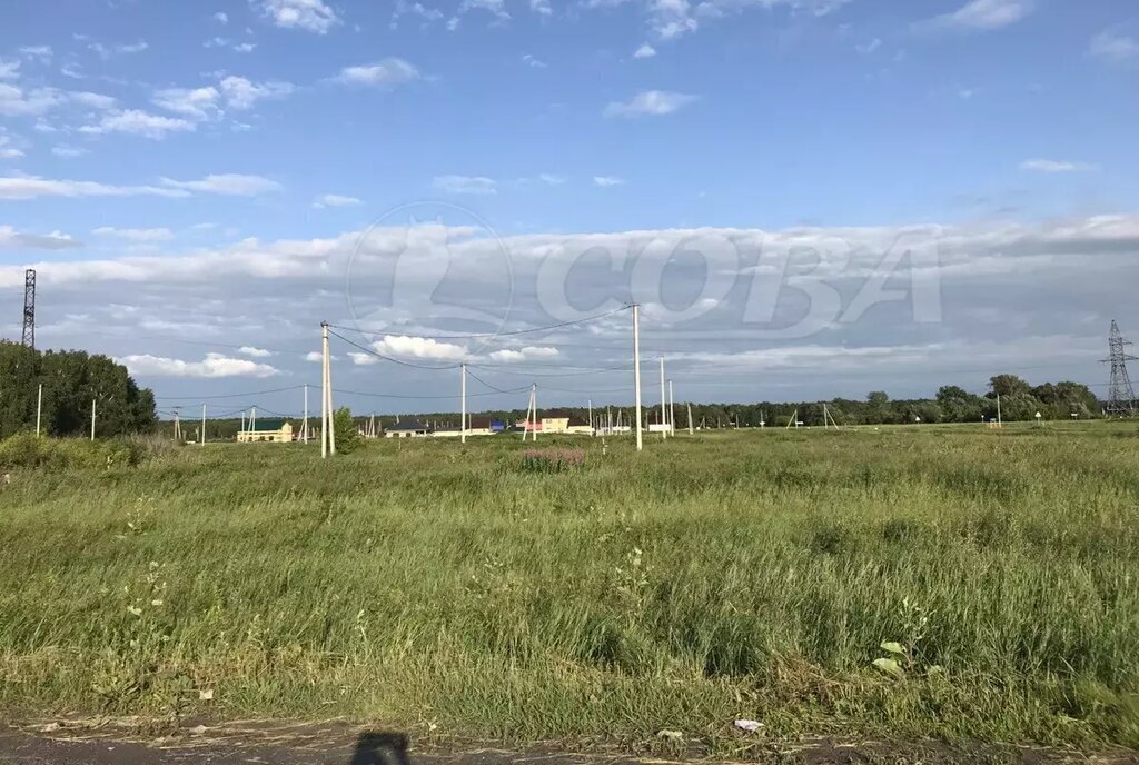 земля г Заводоуковск фото 2
