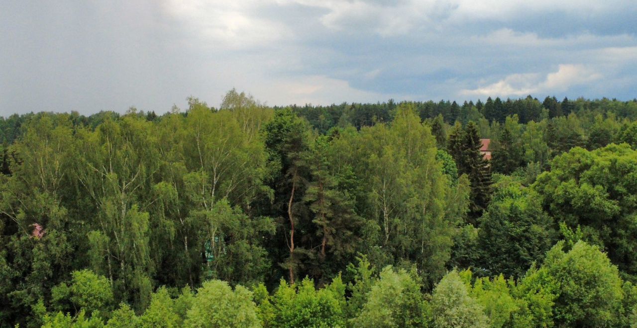 земля городской округ Наро-Фоминский г Апрелевка 26 км, КП Афинеево парк, 86, Киевское шоссе фото 35