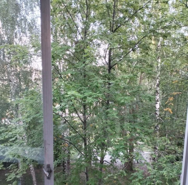 квартира г Нижний Тагил р-н Дзержинский ул Щорса 18 фото 10