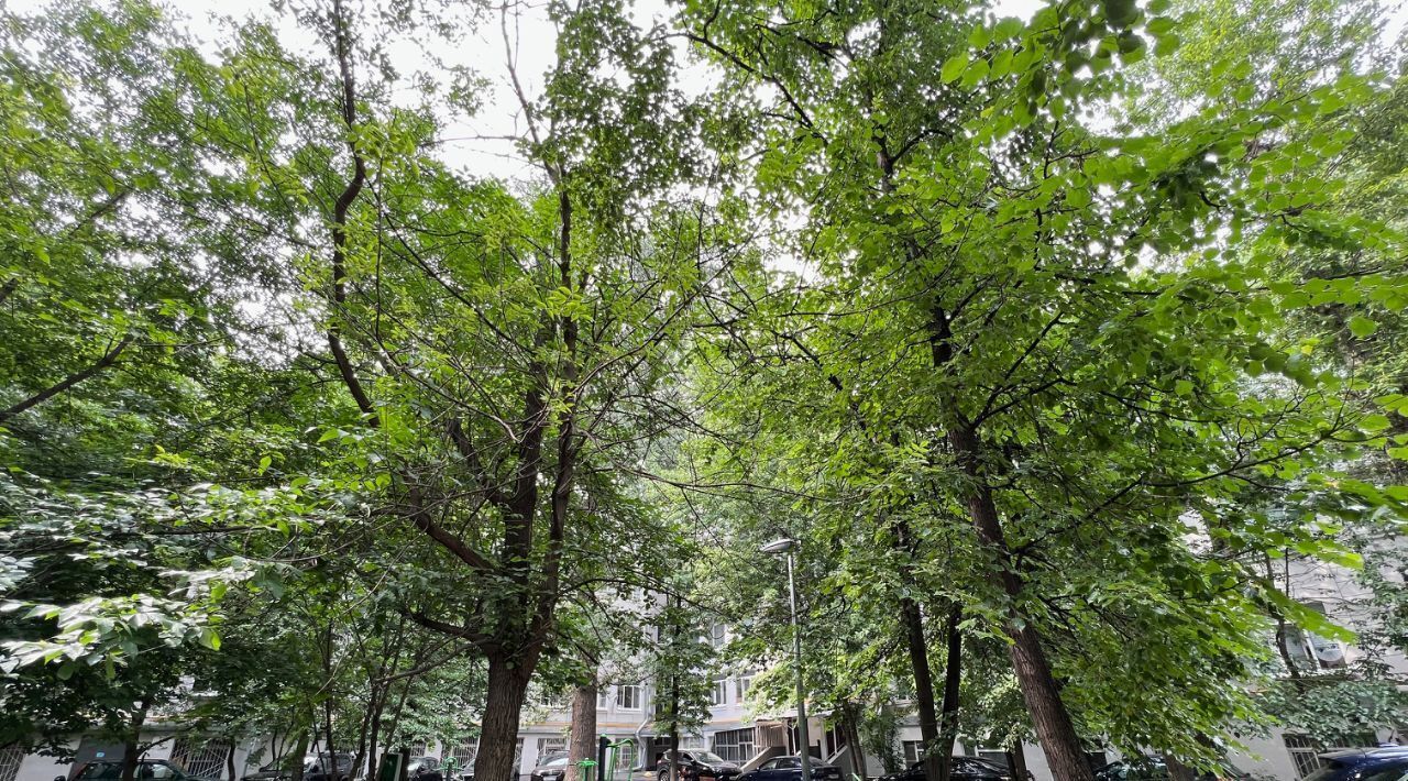 квартира г Москва метро Аэропорт пр-кт Ленинградский 57 фото 35