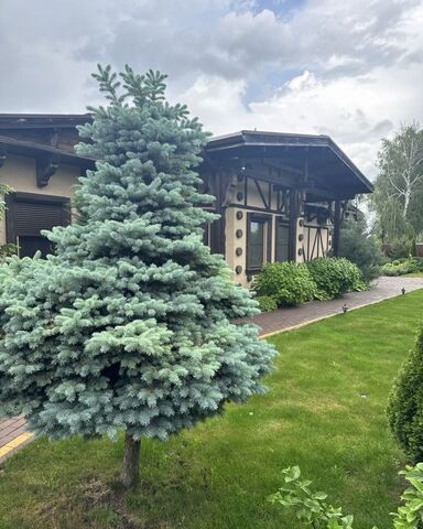 р-н Курский с Полянское Полянский сельсовет, 172А, Курск фото