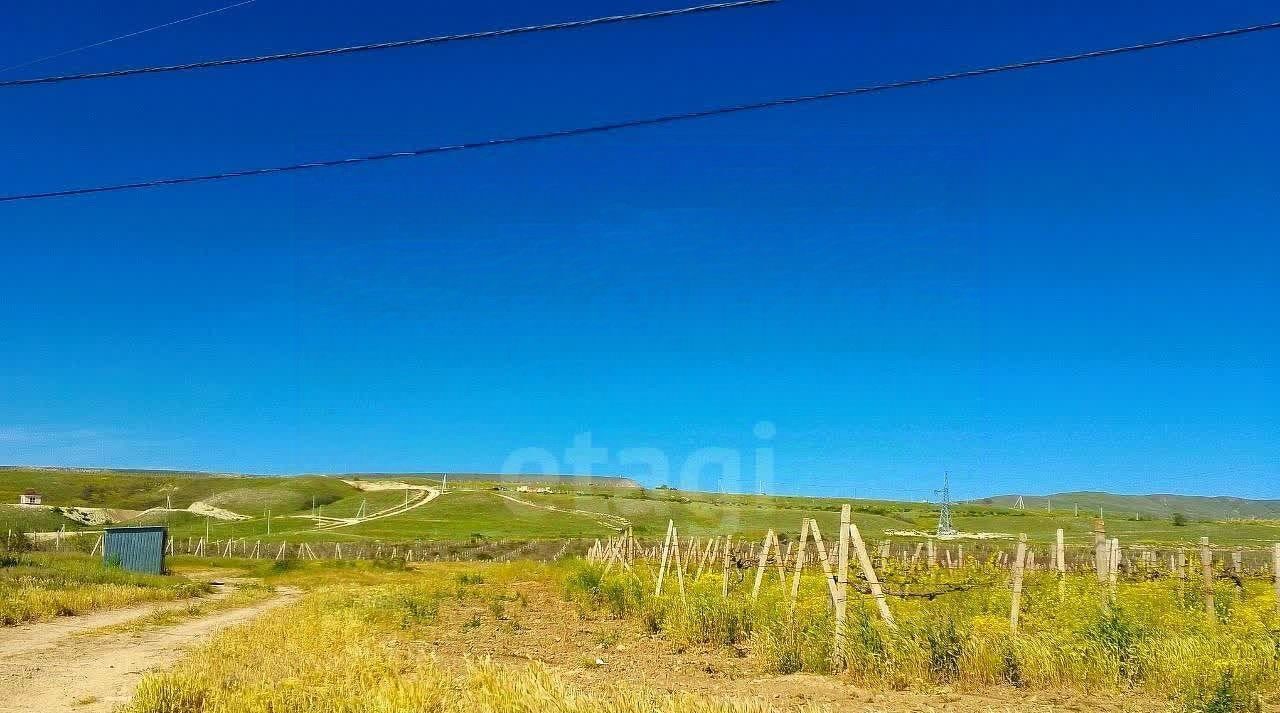 земля г Феодосия Ветеран Коктебеля СПК фото 10