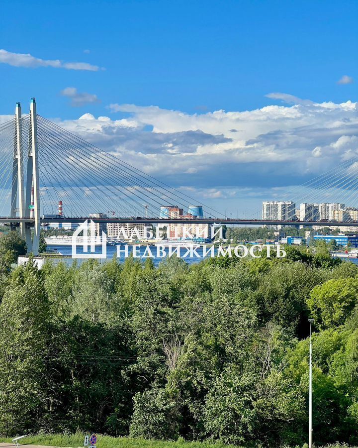 квартира г Санкт-Петербург метро Обухово пр-кт Обуховской Обороны 138к/2 фото 40