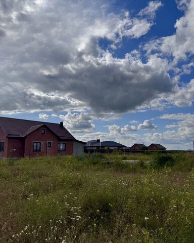 снт Радонеж фото
