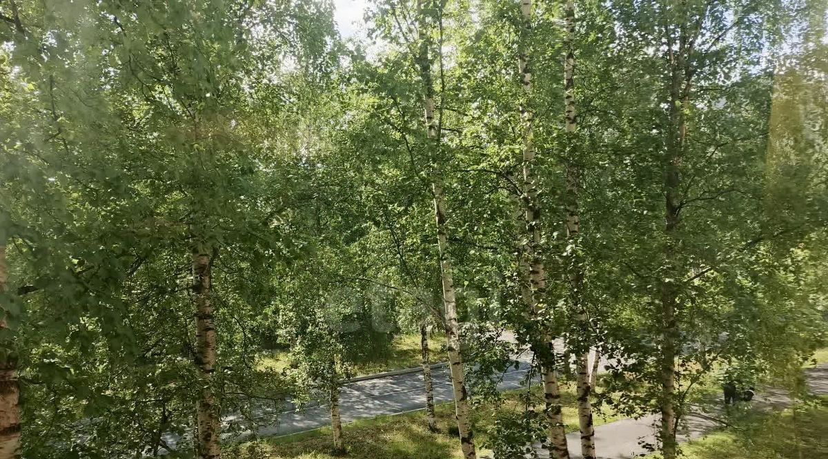 квартира г Архангельск р-н Ломоносовский округ ул Шабалина А.О. 24 фото 8