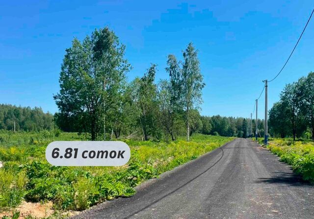 56 км, 16, Новопетровское, Ленинградское шоссе фото