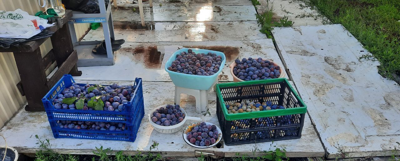 дом г Кинель пгт Алексеевка Новая Алексеевка, Радиальная ул., 67, массив фото 11