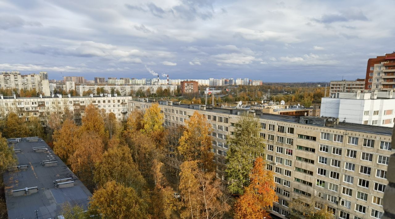 квартира г Санкт-Петербург метро Академическая ул Софьи Ковалевской 16к/5 округ Академическое фото 16