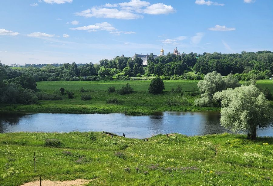дом городской округ Одинцовский г Звенигород ул Калинина 25б 35 км, Минское шоссе фото 34