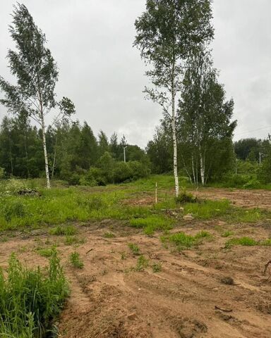 земля рп Шаховская ул Полевая 9845 км, Новорижское шоссе фото