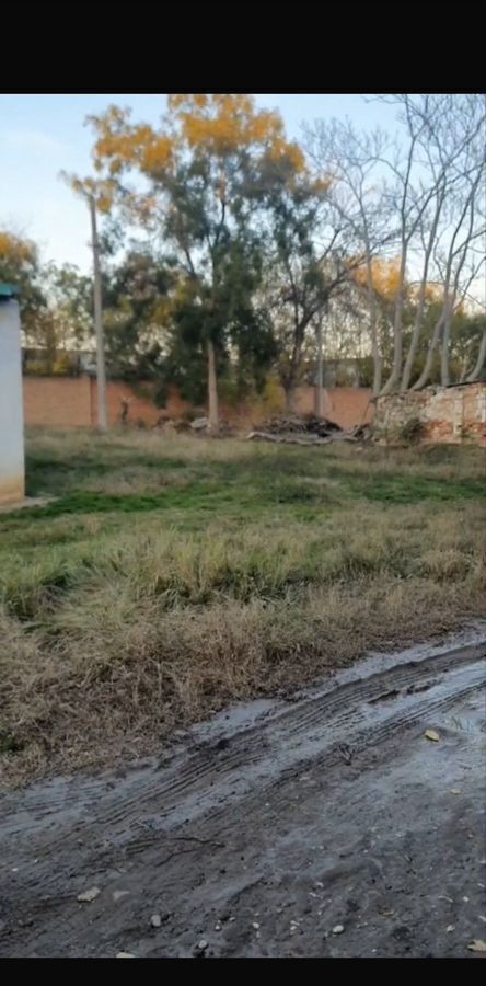земля г Грозный ул А.Д.Дукуева 287 фото 2