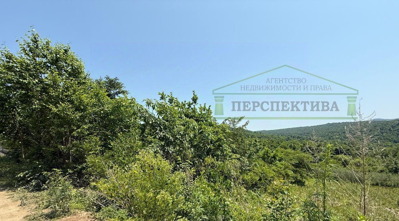 земля г Артем снт Глобус-1 фото 4