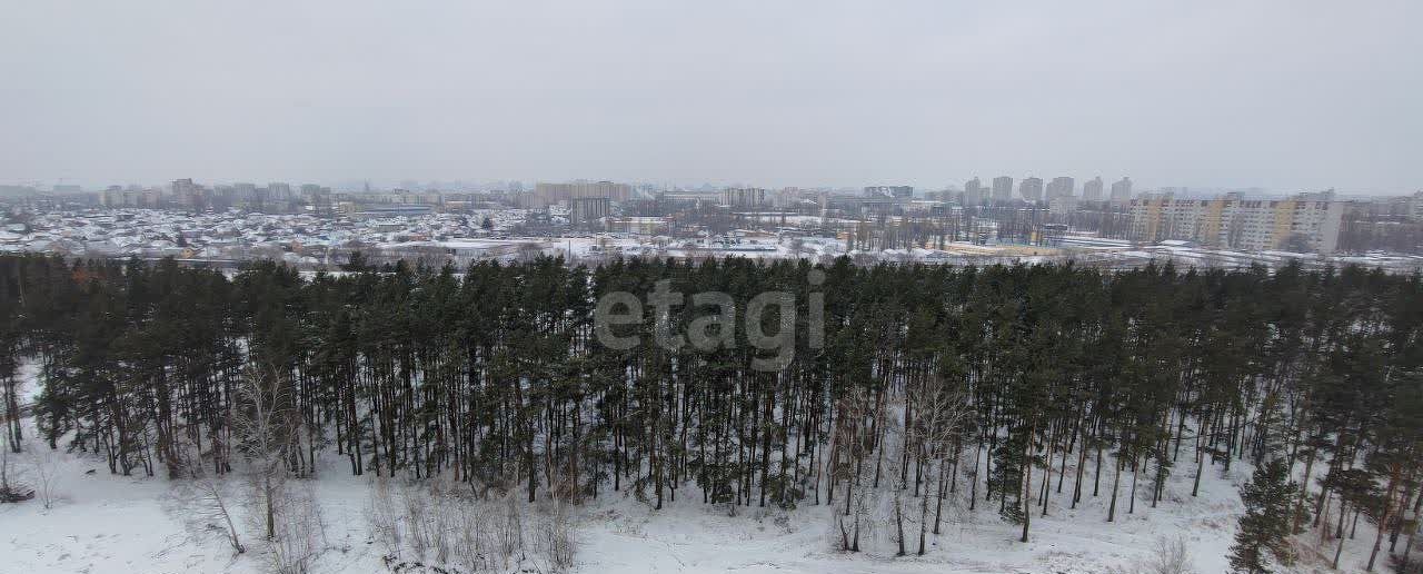 квартира г Воронеж р-н Железнодорожный б-р Содружества 1 ЖК «Джаз» фото 15