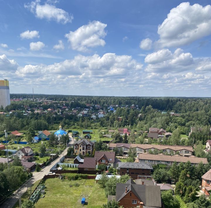 квартира г Пушкино снт Зеленоград Голубое, 5 к 1 фото 9