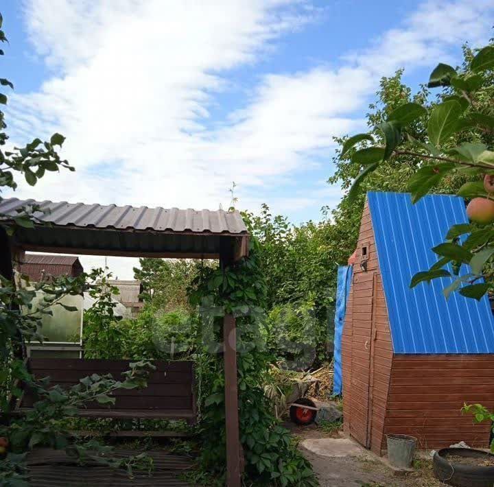 дом г Омск р-н Центральный снт Ромашка аллея 6-я, 31 фото 24
