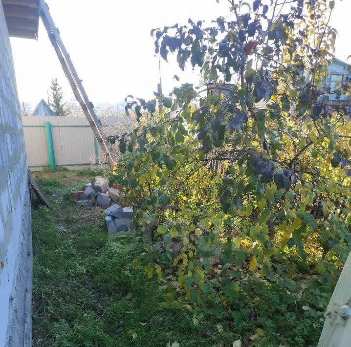 дом г Омск р-н Центральный снт Ромашка аллея 6-я, 31 фото 39