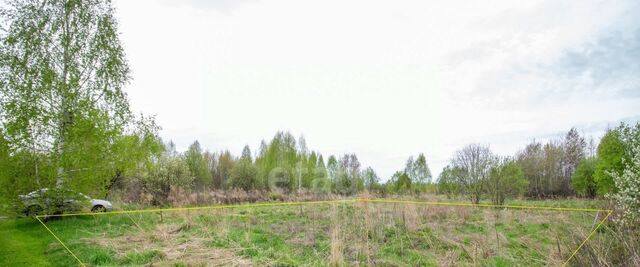 земля п Светлый снт Калинка р-н Октябрьский фото