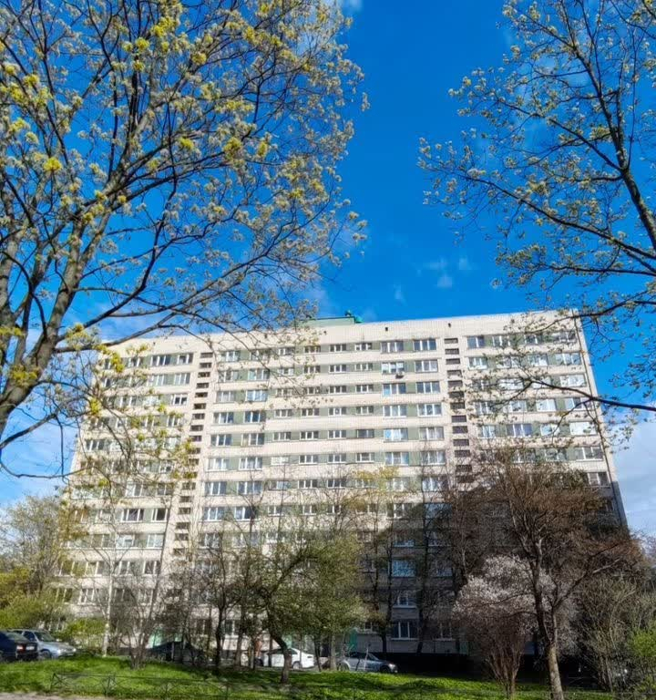 квартира г Санкт-Петербург Полюстрово пр-кт Пискарёвский 37 округ Полюстрово фото 21
