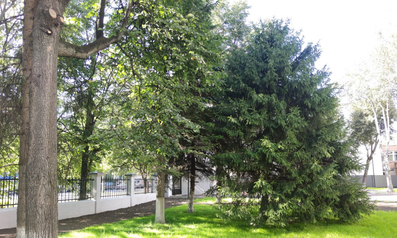 квартира г Люберцы микрорайон Панки пр-кт Октябрьский 403 к 1 ст А фото 25