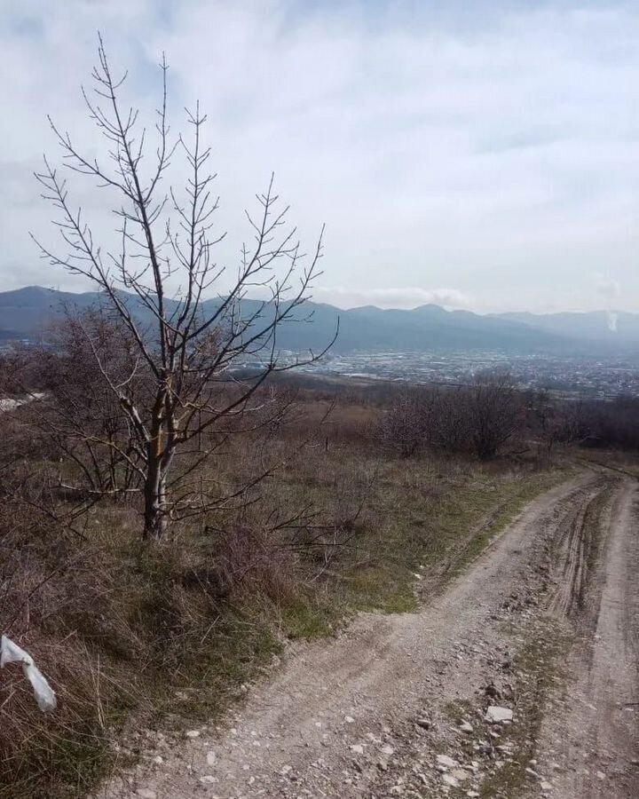 земля г Новороссийск с Борисовка снт Дружба 1А фото 6