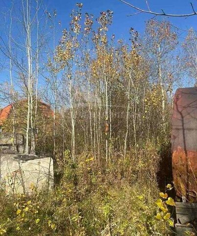земля снт Березка-3 ул Садовая Центральный административный округ фото