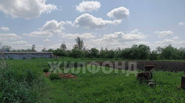 ул Заречная фото