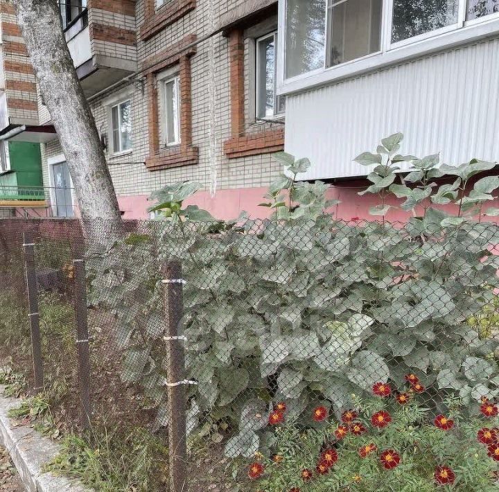 квартира г Биробиджан ул Советская 80 фото 19
