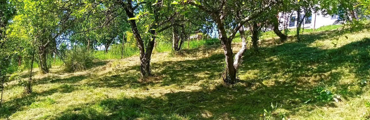 земля г Сочи с Краевско-Армянское ул Саят-Нова фото 1