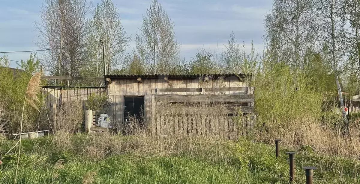 земля г Тюмень р-н Центральный территория СОСН Берёзка-3 фото 4