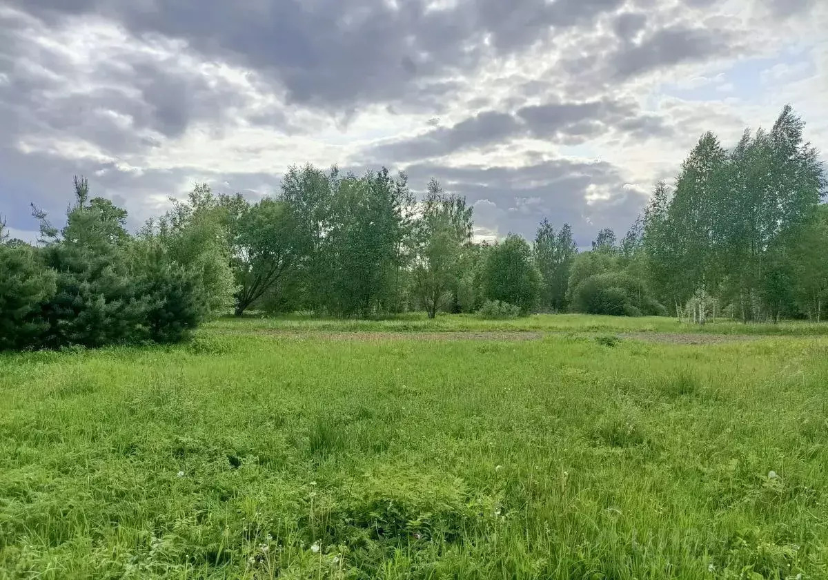 земля г Видное Расторгуево 4 км, Ленинский г. о., Симферопольское шоссе фото 2