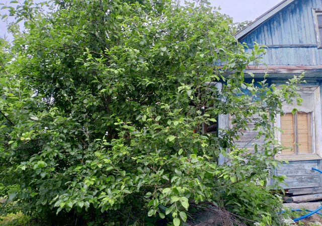 д Александровка Сосновая ул., 8, Тверь, СНТ Автомобилист фото