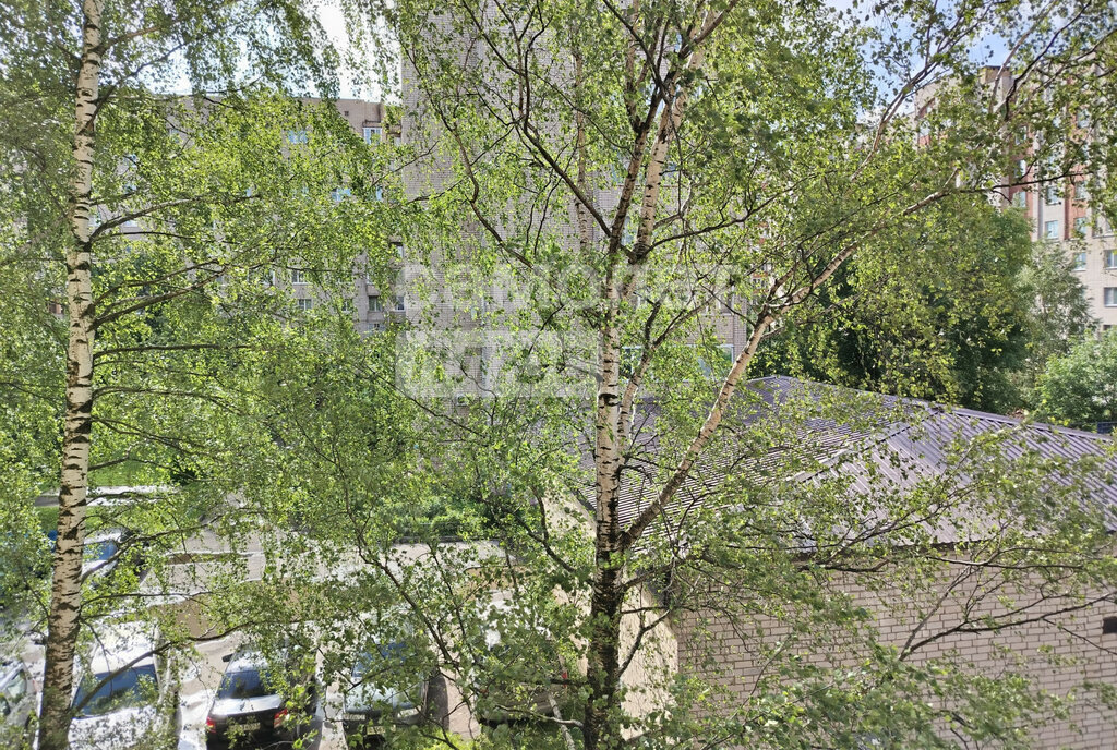 квартира г Великий Новгород ул Нехинская 30/32 фото 13