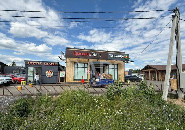торговое помещение с Сокуры ул Державина 29 Республика Татарстан Татарстан, Сокуровское сельское поселение, Казань фото