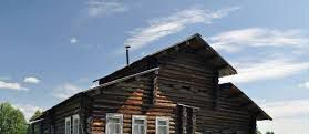 земля г Бор сельский пос. Большеорловское фото 1