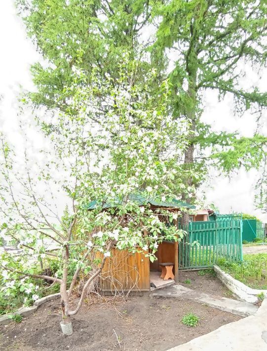дом г Омск р-н Центральный снт Ивушка аллея 2-я, 60Б фото 4
