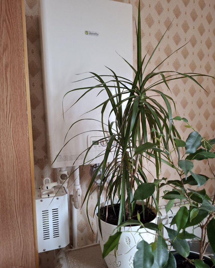 квартира г Кизилюрт ул. Гамзата Цадаса, 73 фото 12