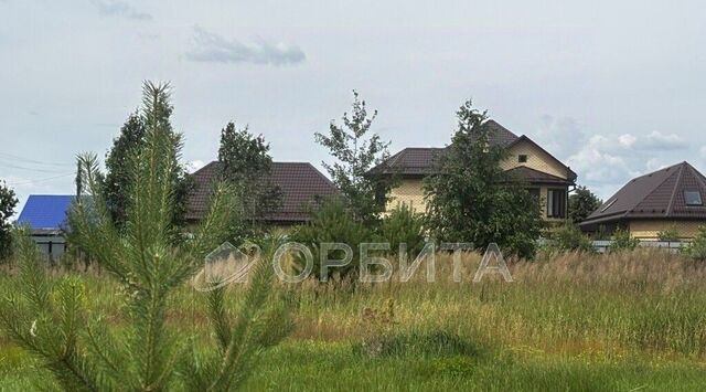 р-н Тюменский п Андреевский фото