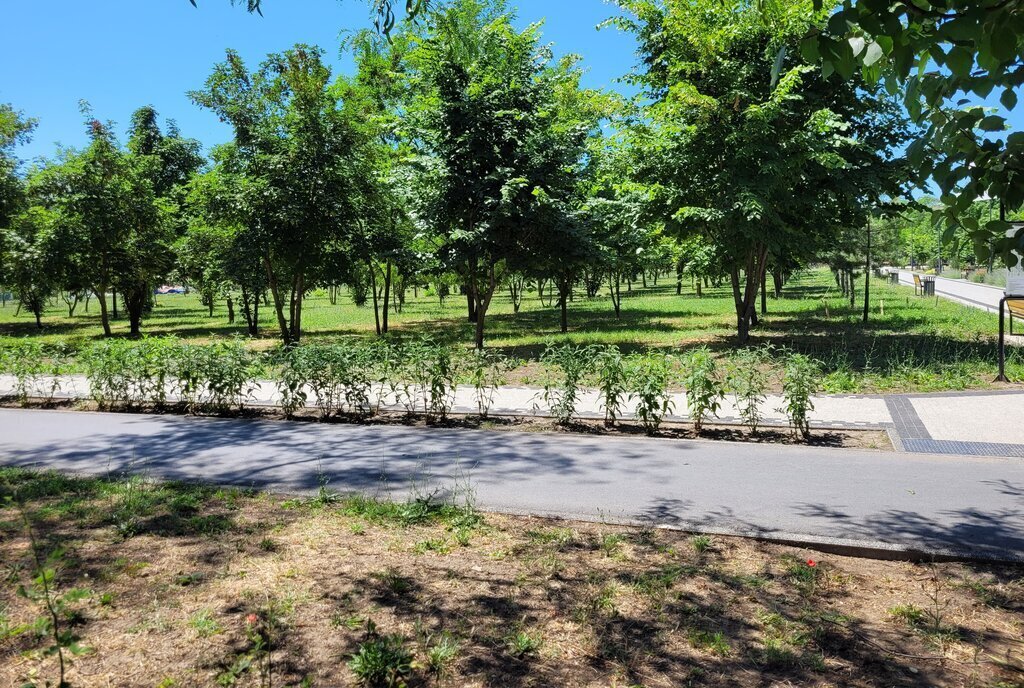 дом г Таганрог ул Сызранова 25/1 фото 25