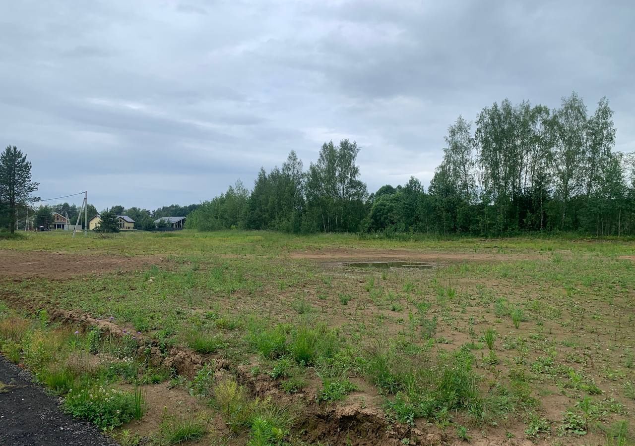земля городской округ Пушкинский г Красноармейск 37 км, 51, СНТ Мирный, Ярославское шоссе фото 8