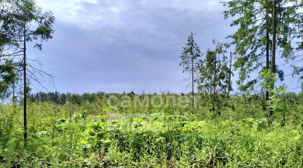 земля р-н Боровский г Балабаново ул Загородная фото 2