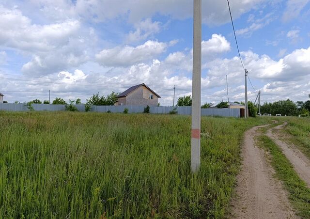 31 км, Дачная ул., 9, Раменское, Егорьевское шоссе фото