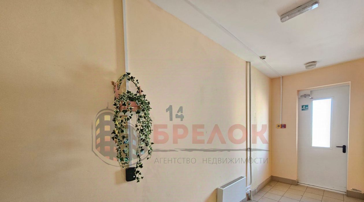 квартира г Ростов-на-Дону р-н Советский ул Ткачева 32/50 фото 13