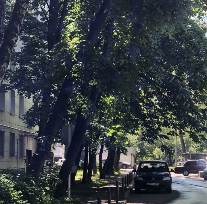 квартира г Москва метро Новогиреево ул Молостовых 12 муниципальный округ Ивановское фото 3