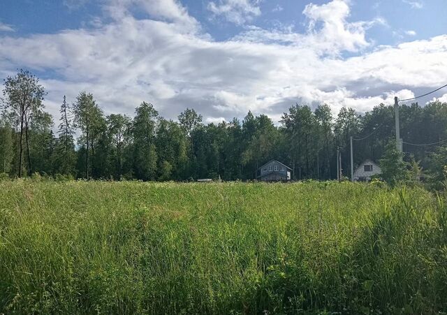 Мурманское шоссе, 5 км, Заневское городское поселение, пос. при железнодорожной станции Мяглово фото
