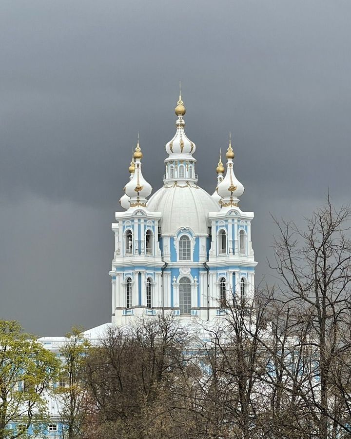 квартира г Санкт-Петербург метро Новочеркасская Пески пр-кт Смольный 6 округ Смольнинское фото 37