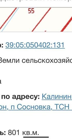 земля ТСН Новая Сосновка, Айвовая улица фото